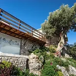 Afroksilia Yakinthos * Lefkada City